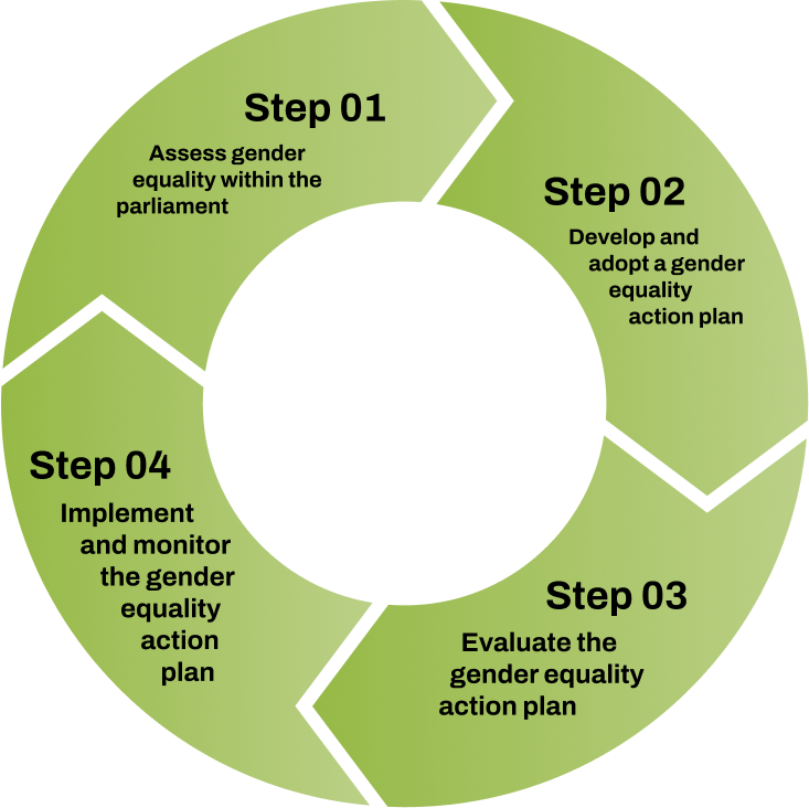 Steps to establish a gender equality action plan for parliament